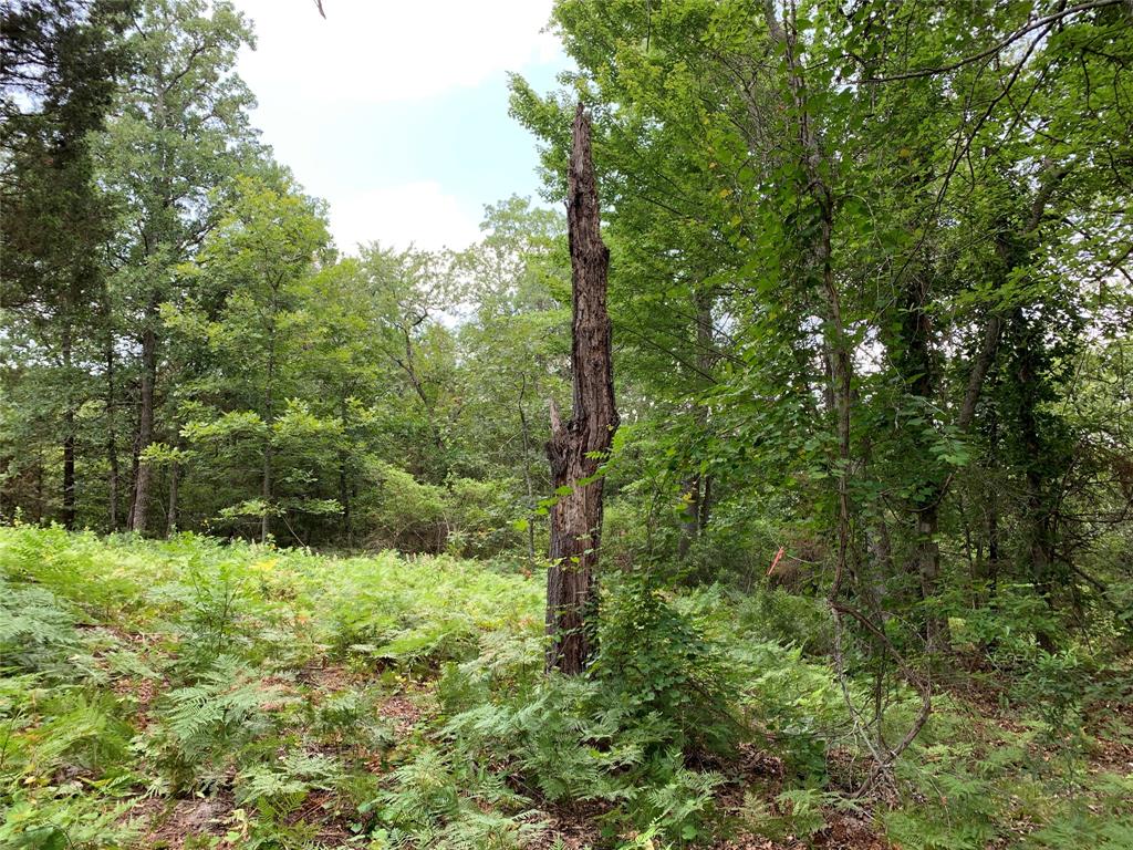 Hills of Athens - Land