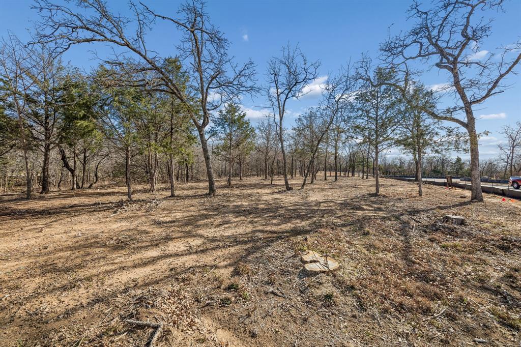 The Conservation - Land