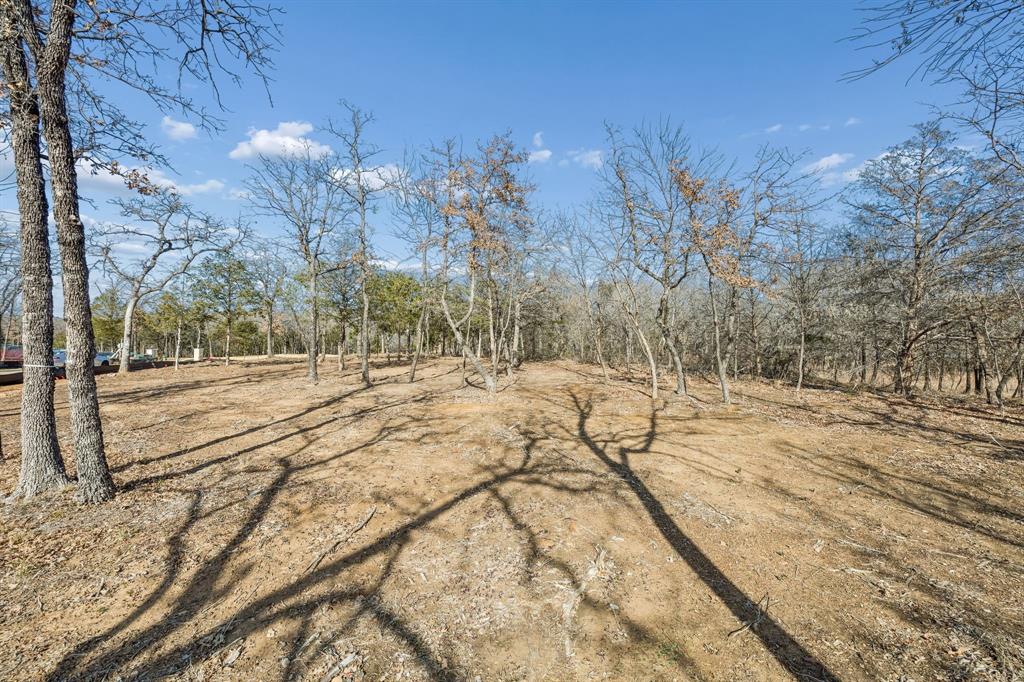 The Conservation - Land