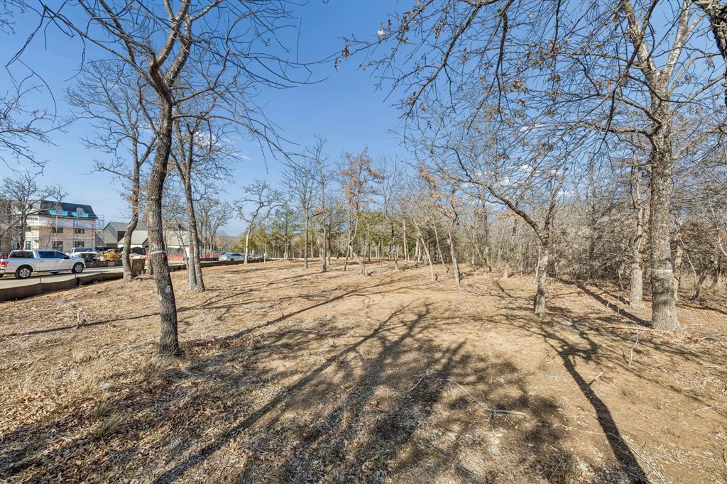 The Conservation - Land