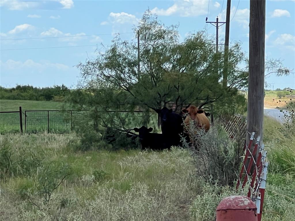 00000 Turtle Hole Rd. Road
