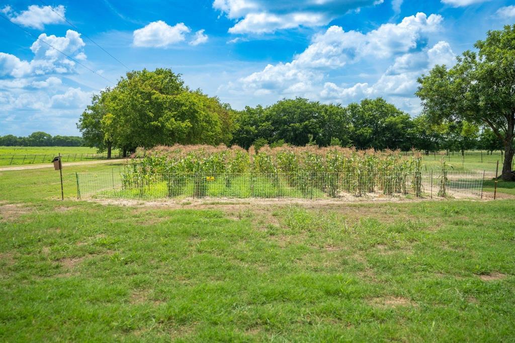 Frances Hopkins - Farm
