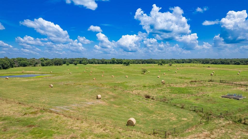 Frances Hopkins - Farm