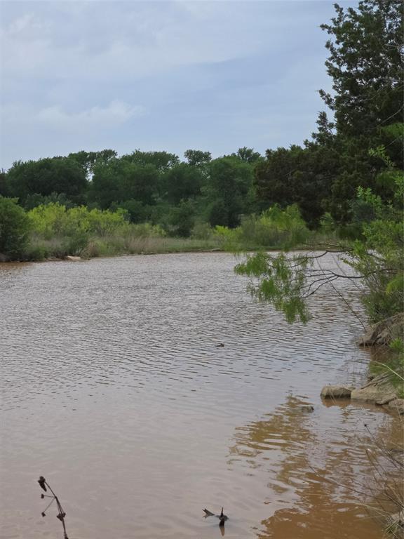 Lot 913 Cinnamon Teal