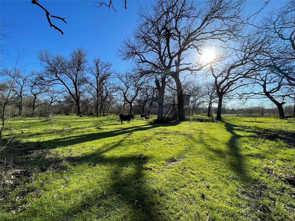County Land - Farm