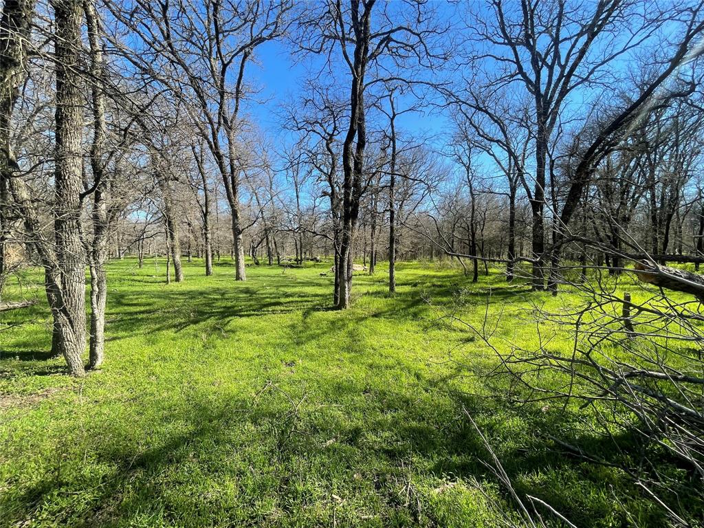 County Land - Farm