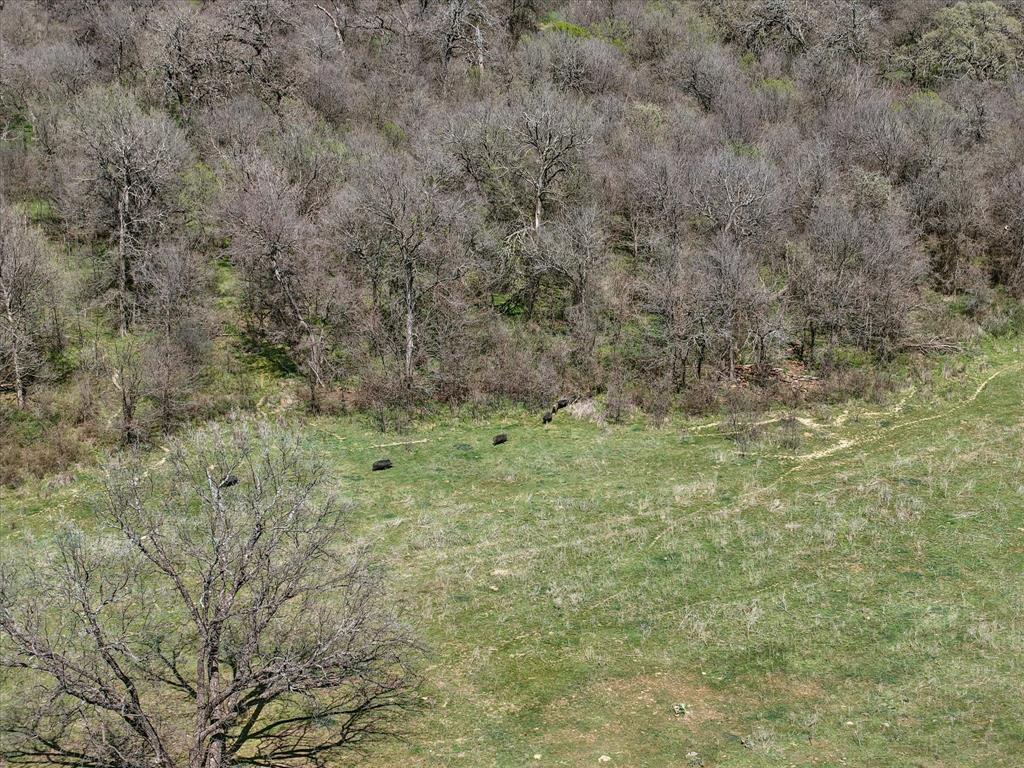 County Land - Farm