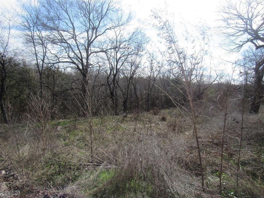 Calling All Builders and Investors. Bring your plans and ideas to life. Prime growing location with great nearby amenities and schools. Priced to sell and wont last long. Bring your offers today! Call Agent or Ashalli for any questions or offer details. All info deemed reliable but not guaranteed. Buyer and Buyer's Agent to verify all details