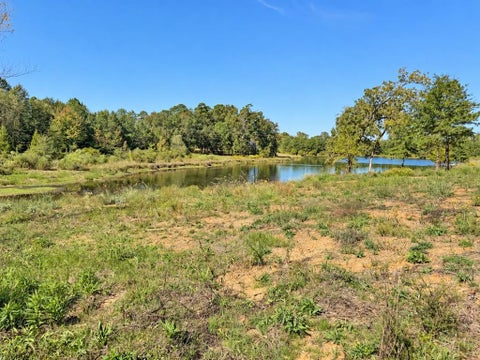 Photo of TBD FM 2015 Lot C, Winona, TX 75792 (MLS # 21419727)