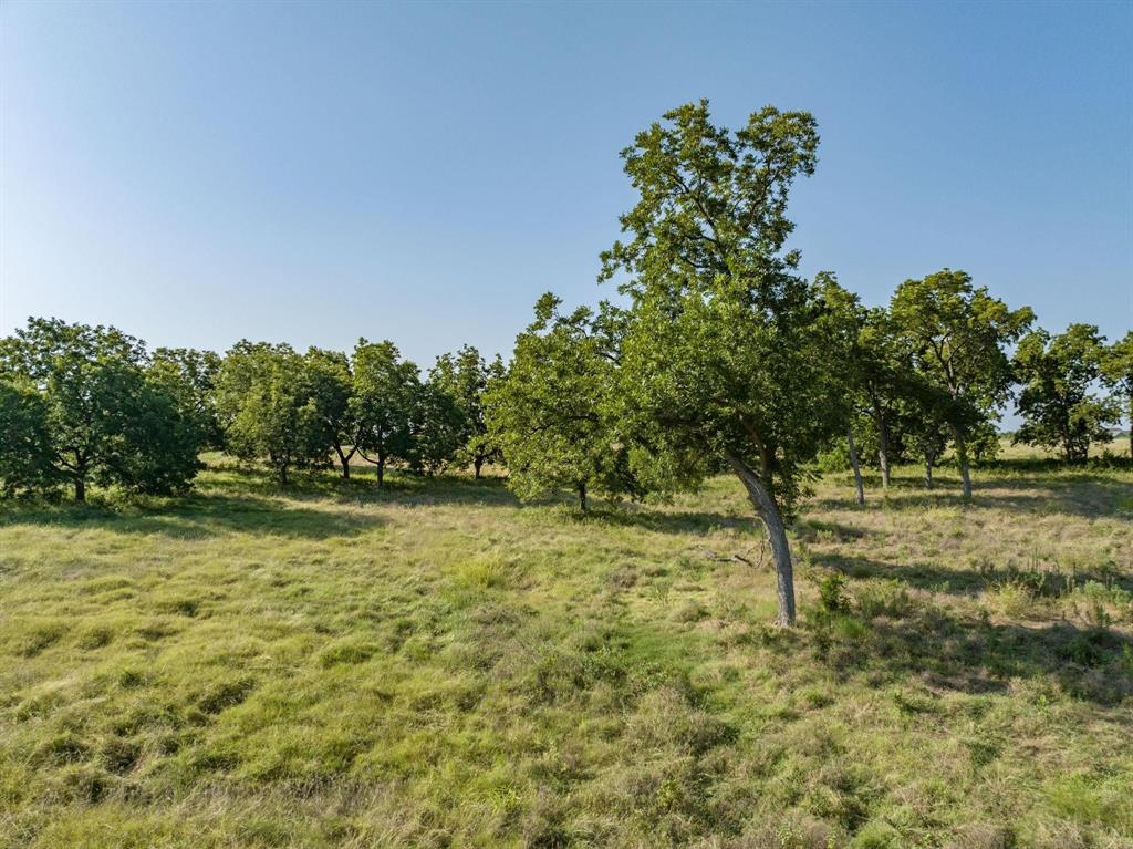 John West Survey - Land