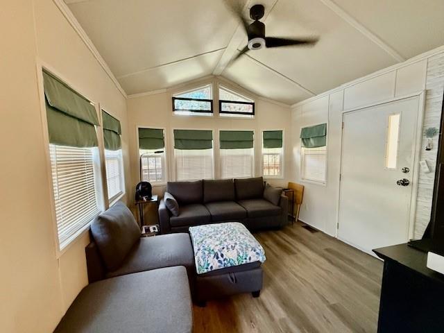 White Oak Shores - Residential