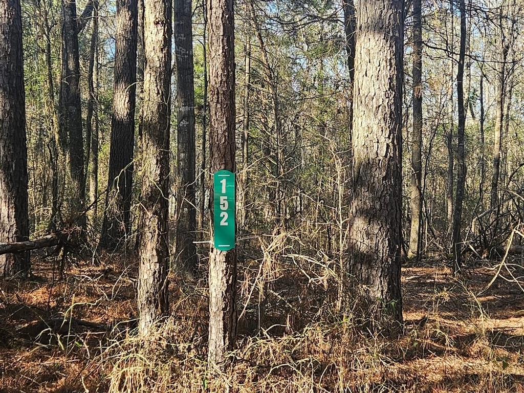 152 County Road 4247