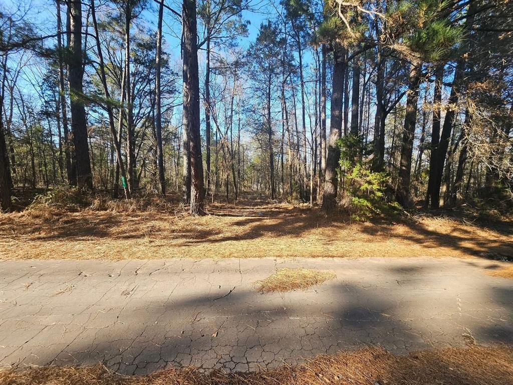 O Hendricks Surv - Land