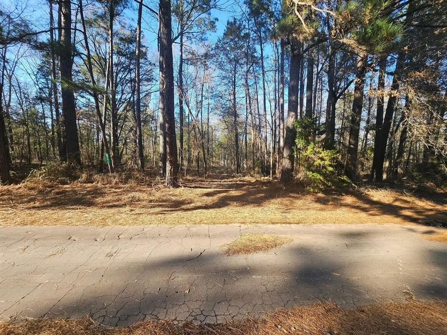 Nestled in the heart of Pittsburg ISD, this idyllic piece of property offers nearly 5 acres of untouched beauty. Perfectly suited for those yearning to build their dream home, this heavily wooded lot promises peace and tranquility away from the hustle and bustle. This enchanting land features a diverse landscape ripe for exploration, with vibrant wildlife enhancing its natural charm. The serene surroundings are ideal for nature enthusiasts or anyone seeking a secluded haven. Convenience meets nature as a water meter is already available, simplifying the building process. Whether you're envisioning a secluded retreat or a modern homestead, this property provides a blank canvas, offering you the freedom to create your ideal lifestyle. This unique opportunity to own a slice of Texas tranquility won't last long.