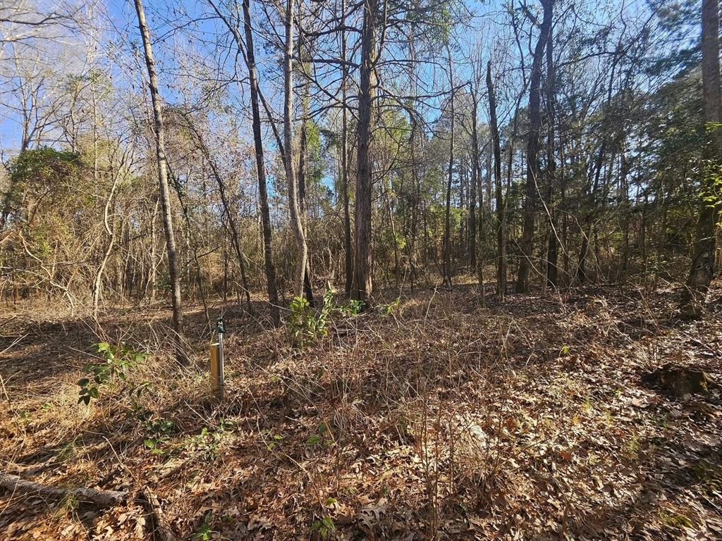 O Hendricks Surv - Land