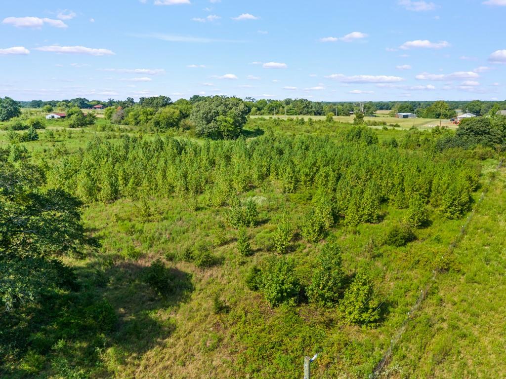 Meadow Oaks Ranch - Land
