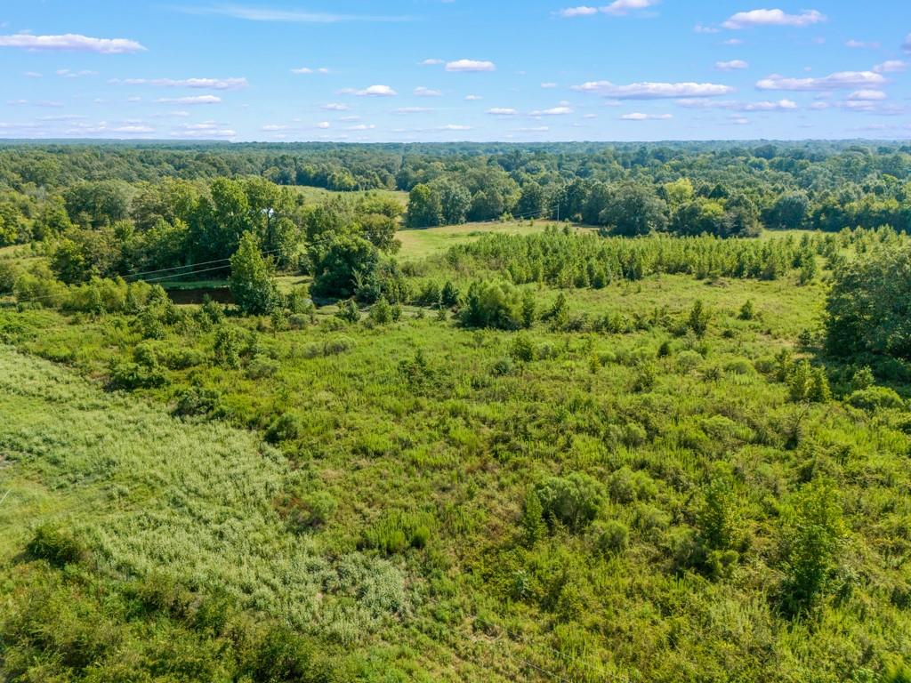 Meadow Oaks Ranch - Land