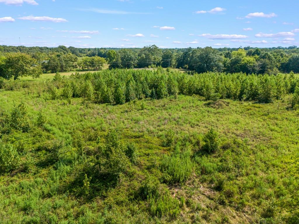 Meadow Oaks Ranch - Land