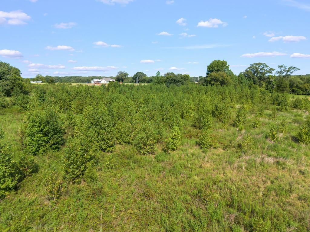 Meadow Oaks Ranch - Land