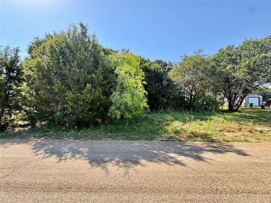 Lot for sale in the peaceful community of Comanche Harbor situated among several newer builds and located just minutes from Lake Granbury and a quick commute to Granbury or Glen Rose.  This small but impressive lot features large trees and could be the perfect place for you to call home! This property will require a septic system.