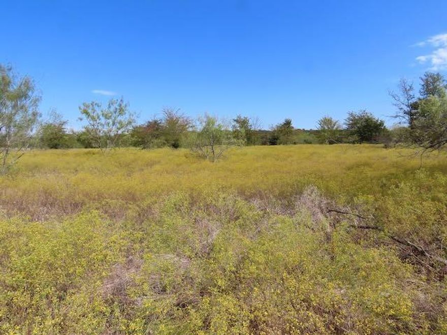 Build your dream home on this beautiful 10 acres in Argyle. No HOA. Property can be subdivided. Private gated entry to this exclusive property. Huge property tax savings with an agricultural exemption. Desirable Argyle ISD. Get this special one before it is gone.
