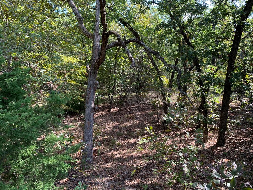 Hills of Athens - Land