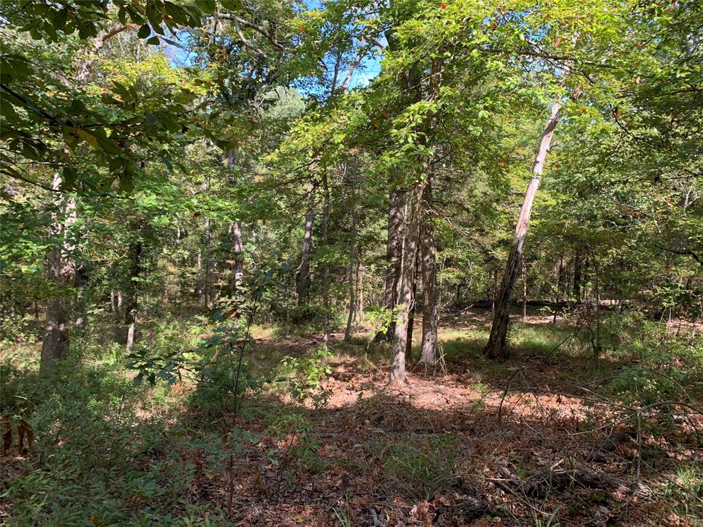 Hills of Athens - Land