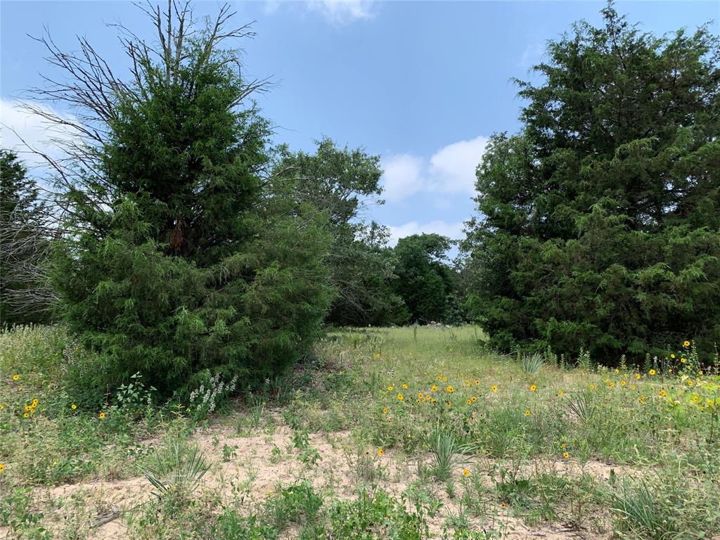 Hills of Athens - Land