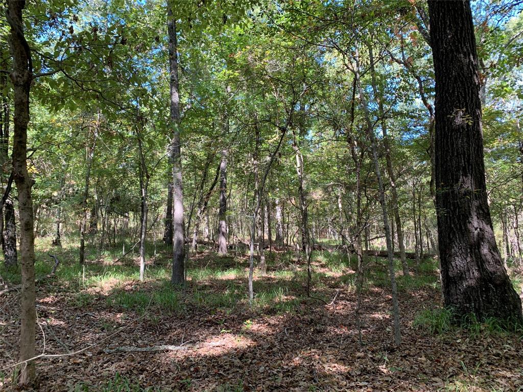 Hills of Athens - Land