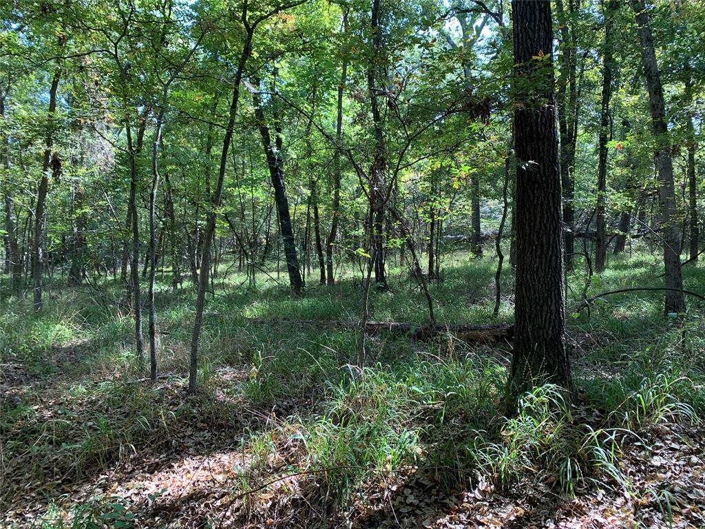 Hills of Athens - Land