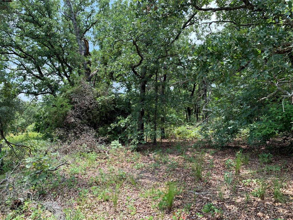 Hills of Athens - Land