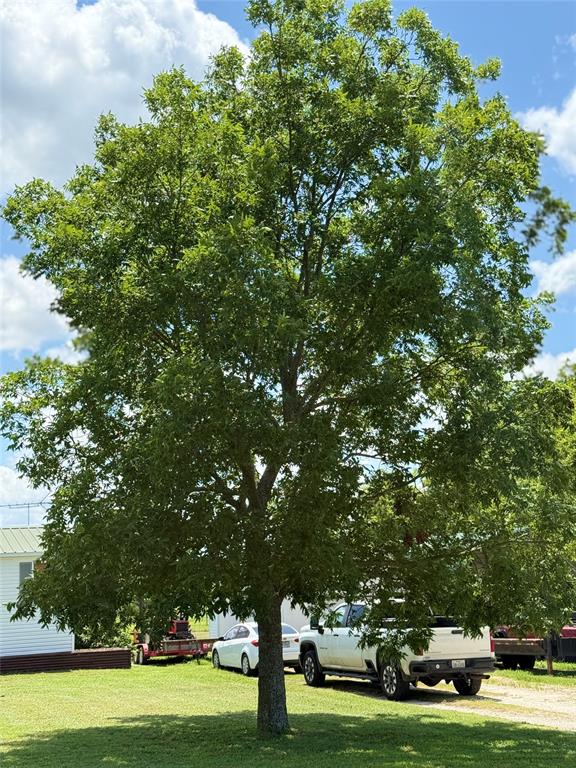 Royal Estates - Residential