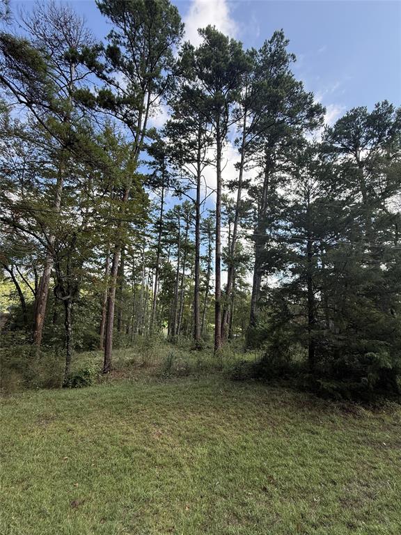 13254 County Road 468