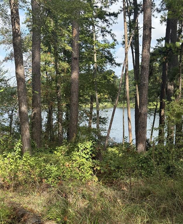 13254 County Road 468