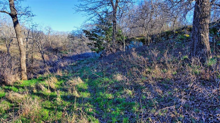 This charming 39.5-acre property, just a short drive from Nocona, offers a perfect blend of natural beauty and functionality. Featuring mature oak trees, a seasonal creek, and two ponds, the land is ideal for both recreation and agriculture. The property boasts excellent native grasses, making it perfect for livestock, horses, or cattle. Additionally, it provides great hunting opportunities, with abundant wildlife in the area. The easy access and peaceful surroundings make it a fantastic choice for anyone seeking a serene rural retreat. Whether you’re looking to build your dream home or establish a working farm, this property has endless possibilities.