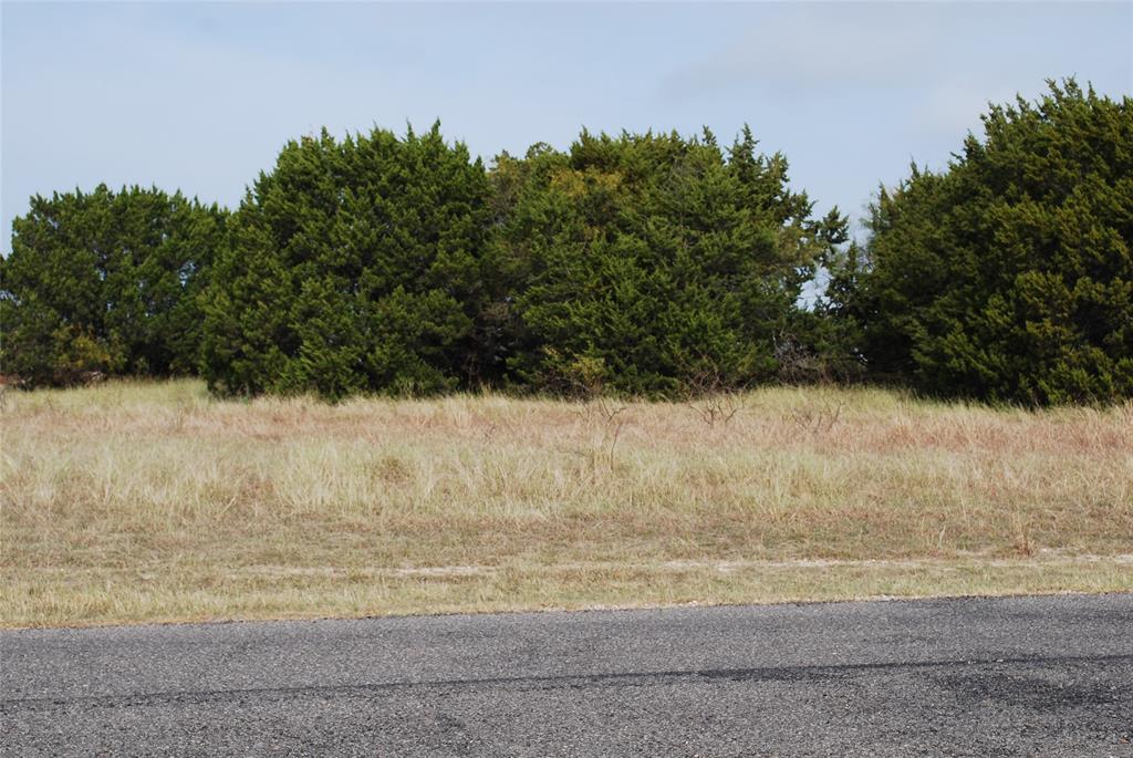 White Bluff #19 - Land