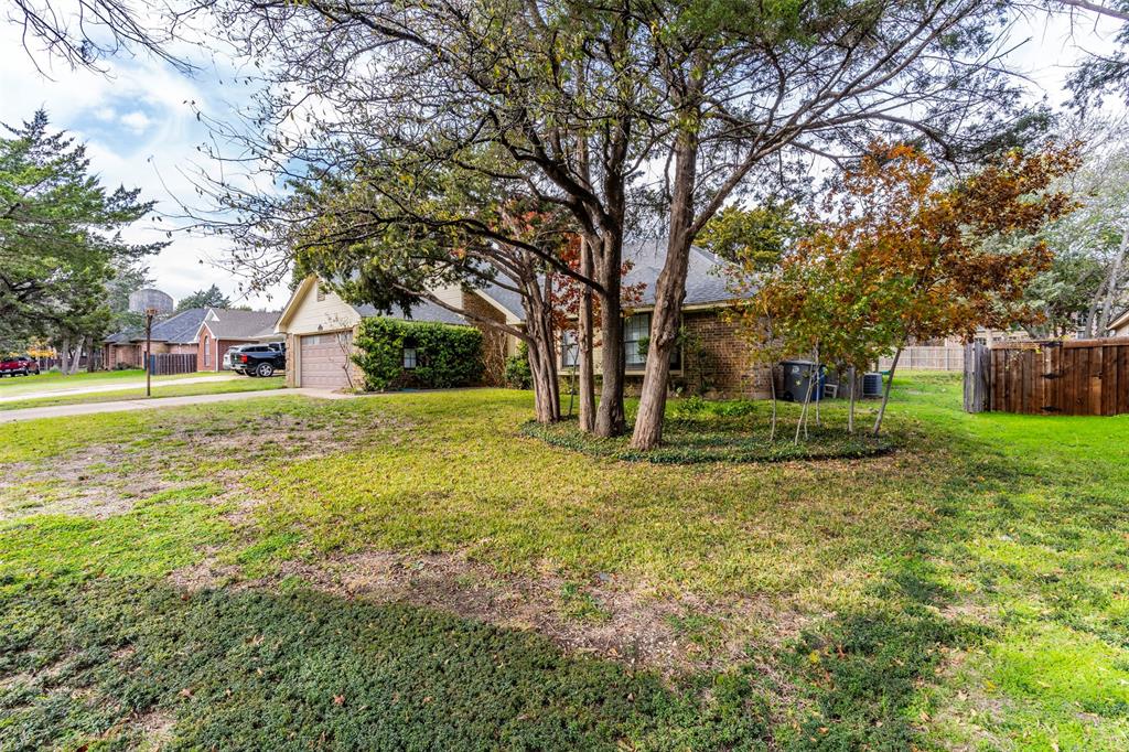 Red Bird 07 - Residential