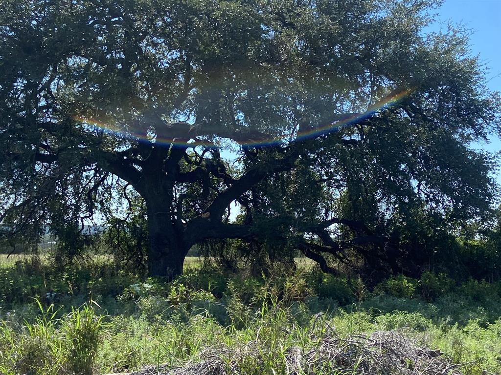 H T & B RR Co - Farm