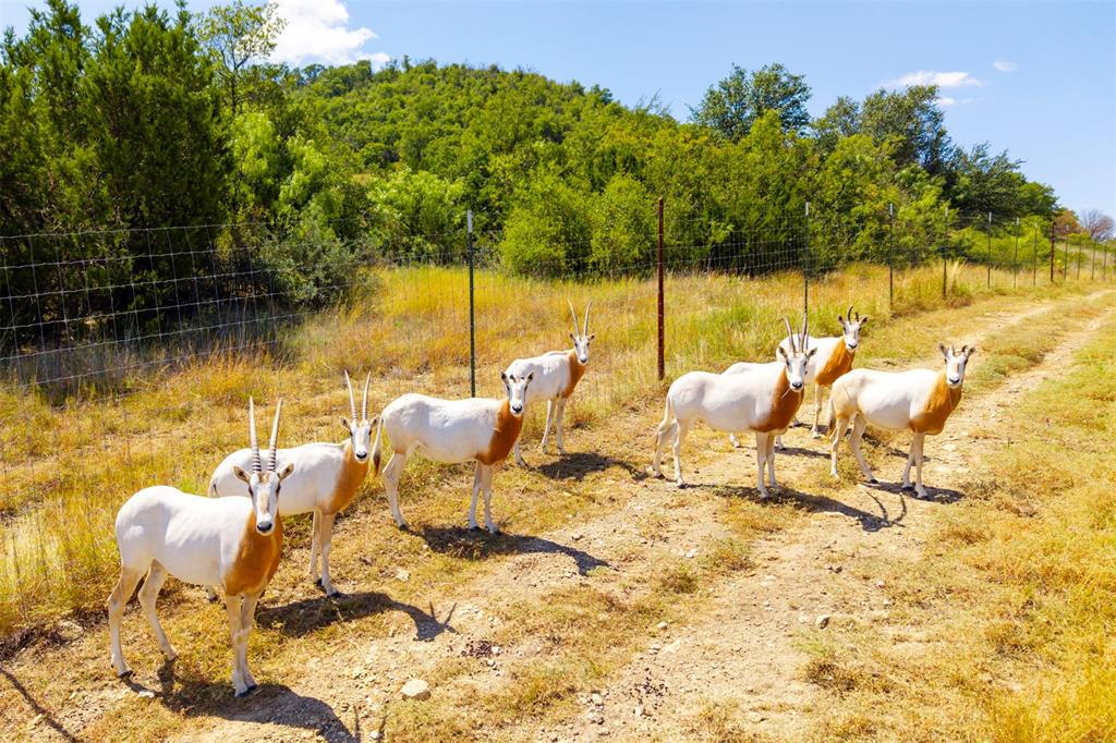 Epps D Payne Surv Abs #754 - Farm