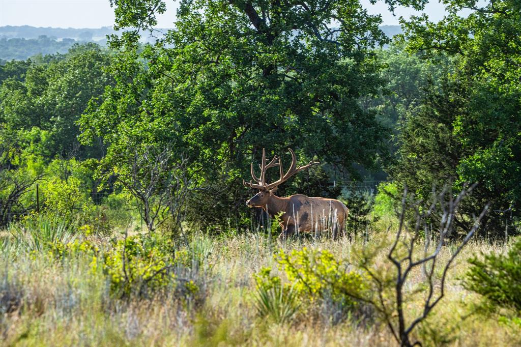 Epps D Payne Surv Abs #754 - Farm