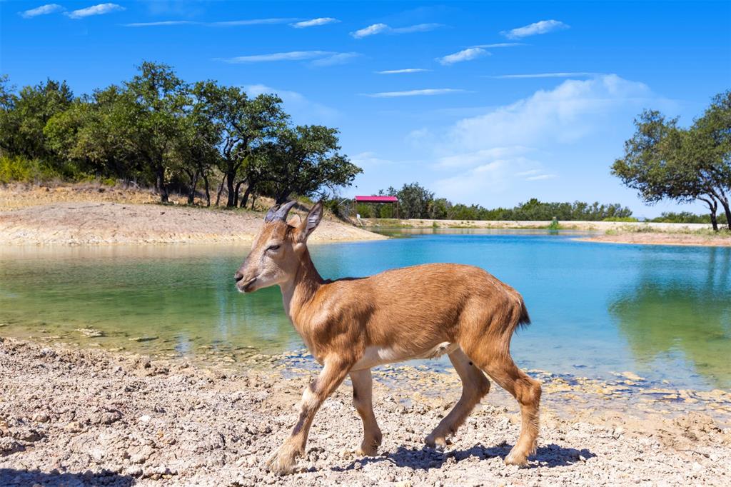 Epps D Payne Surv Abs #754 - Farm