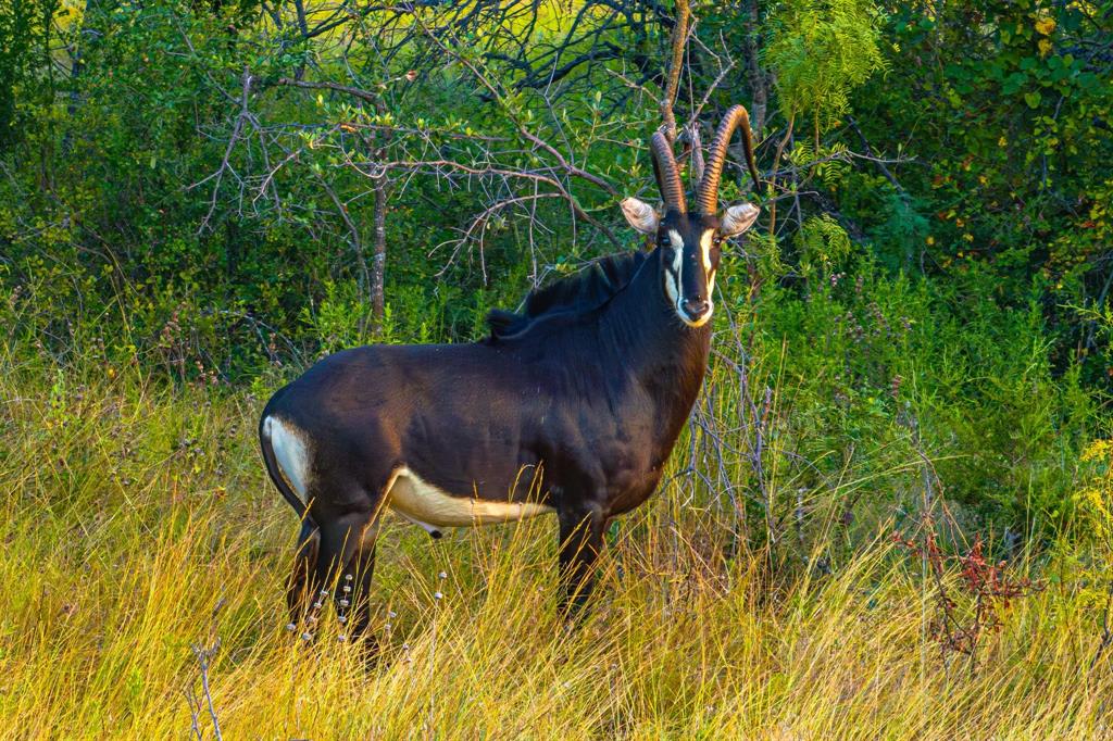 Epps D Payne Surv Abs #754 - Farm