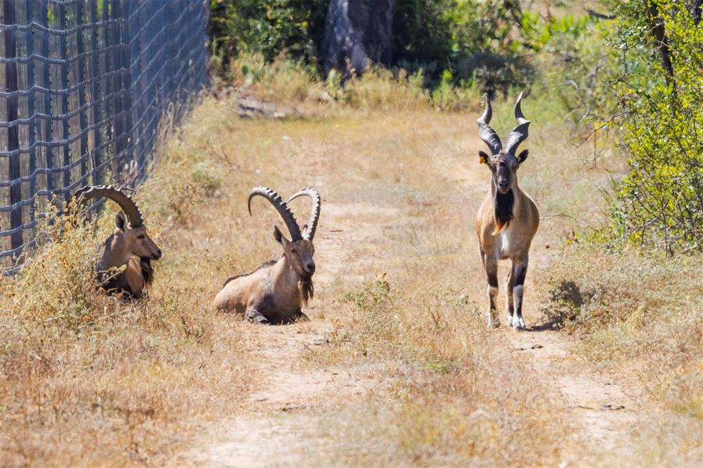 Epps D Payne Surv Abs #754 - Farm