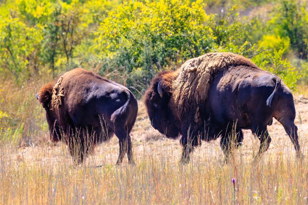 Epps D Payne Surv Abs #754 - Farm