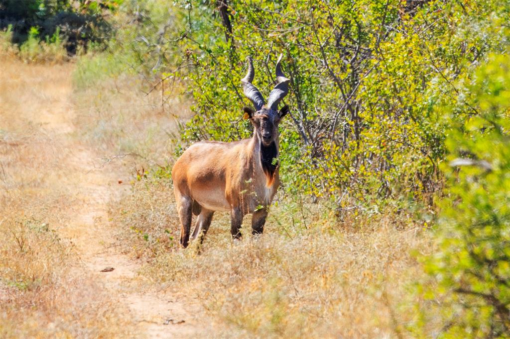 Epps D Payne Surv Abs #754 - Farm