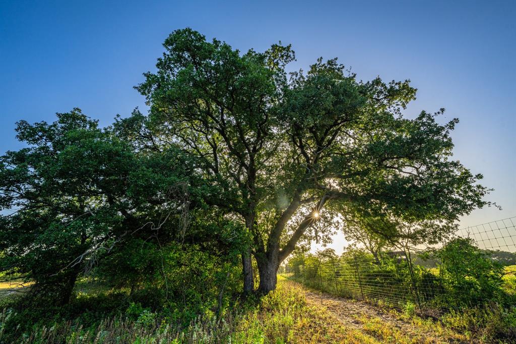 Epps D Payne Surv Abs #754 - Farm