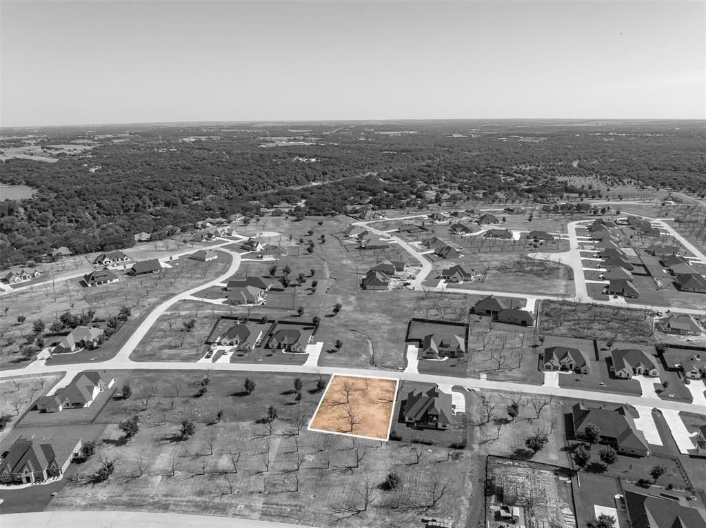 Pecan Plantation - Land