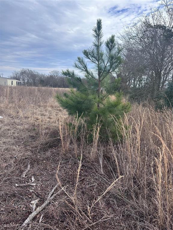 KALPNA ESTATES-UNRECORDED - Land