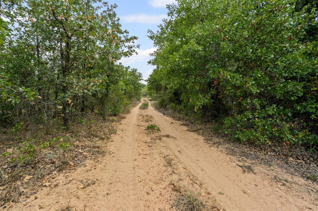451 County Road 4975