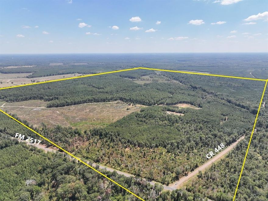 742+ acres for sale in Texas! Unrestricted land, just east of Carthage, TX sits The Pines of Deadwood Ranch offering variety, opportunity, and rarity. The entrance takes you down a gravel driveway and leads you to the 2300± Sq. Ft. home with 19ft ceilings, open concept, and beautiful craftsmanship including steel core construction and hand sawn wood on the interior. The home offers modern amenities with 3 bedrooms, a loft, and 2 bathrooms. The front and back porch are both full length and covered to provide the perfect space for enjoying the outdoors. Across the driveway sits a 24’x30' barn, built in ’09, fully insulated gravel floors, and an attached covered carport providing space for ATV’s, tractors, and a workshop!
This Texas Ranch offers an abundance of wildlife, water features, and timber production.
*Note: Panola County does not have FEMA floodplain data available. Timber thinning in process for the southeast 60 acres.